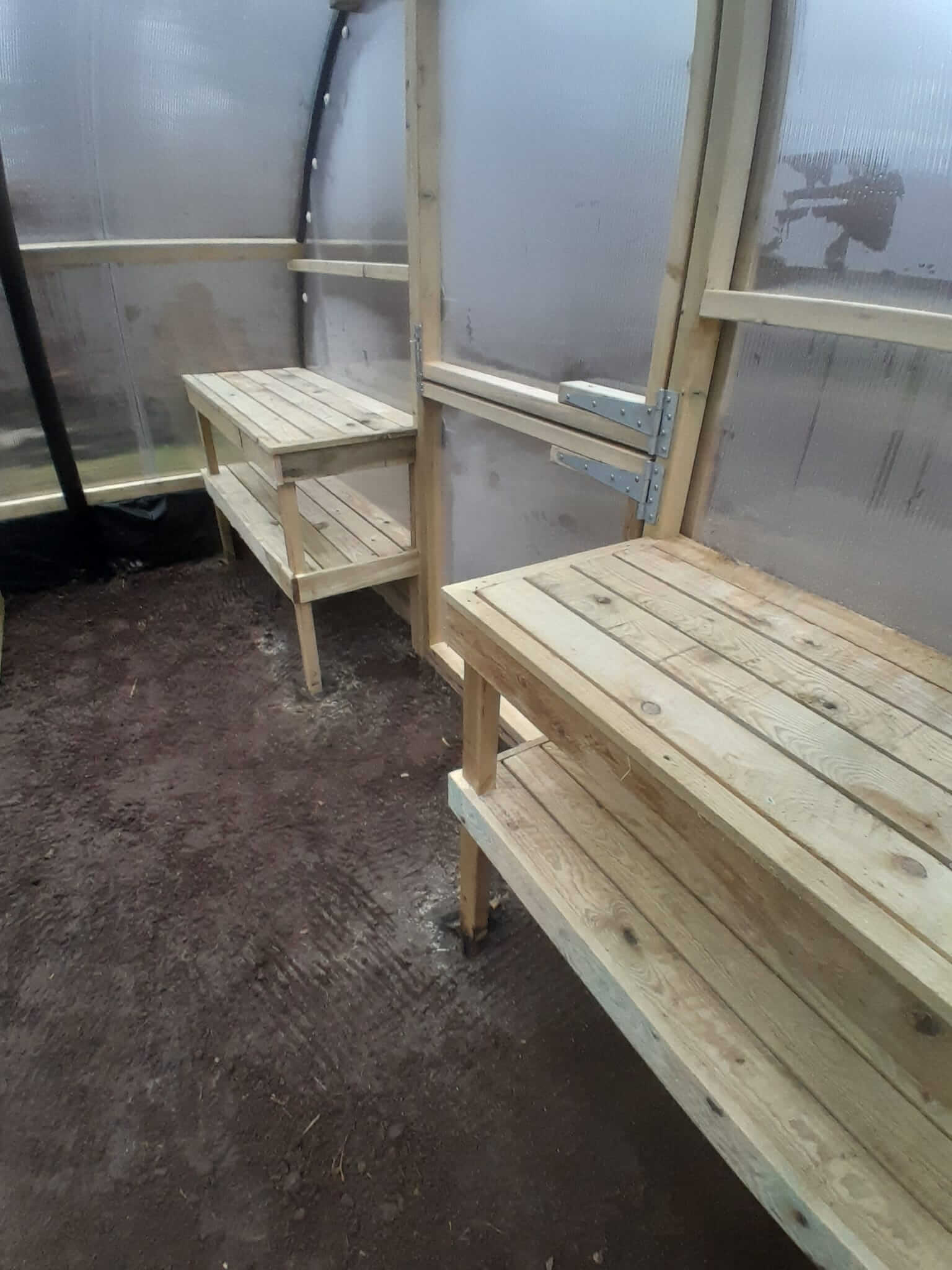 Interior of Poly Crub tunnel showing bespoke timber slatted potting benches and shelving either side